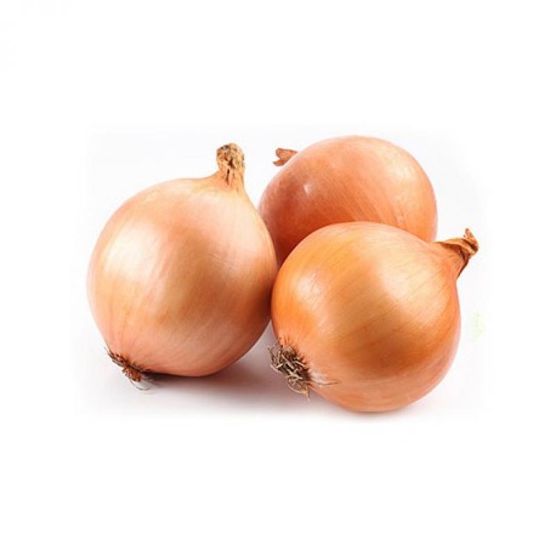【西班牙】大洋葱 
ONION -SPAIN 20KG/包 YangC