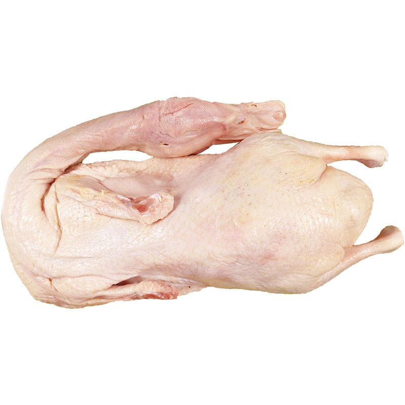 老鸭（以公斤计费） Breeder  DUCK2 2.4x6 LaoY