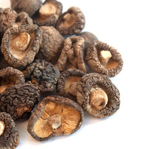 整香菇 Shitate Po-Ku Mushroom ( Narcissus) 48X284g  ZhengXG