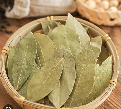 干香叶 BAY LEAVES  1KG/PACK   XiangY