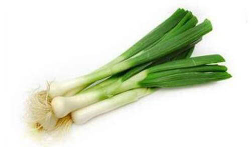 【盒装葱仔】 SPRING ONION BOX  Congz