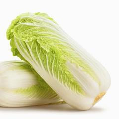 荷兰 大白菜 Chinese Leaf (DUTCH)8s DaBC