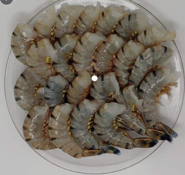 有殼無頭南美虾 SEA MAGIC 26/30 6x1.8G   DONGX