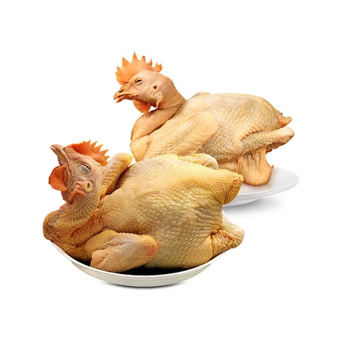 老鸡 fresh HEN CHICKEN  1 Bird  LaoJ