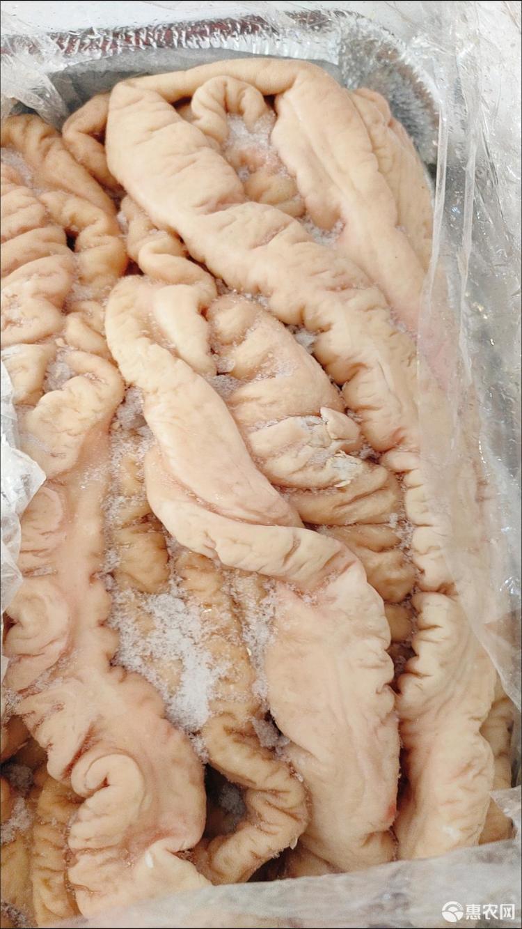 【猪大肠】 FROZEN PIG FAT END 【单价/KG/10KG/16KG/箱】  ZhuDC