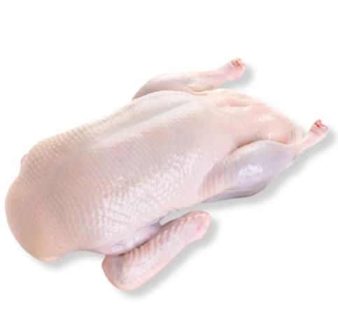 【波兰利冻鸭】POLAND DUCK【5*3.0KG】 DongY