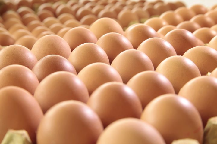 大鸡蛋 EGGS 12X30s  (LARGE)  JiD